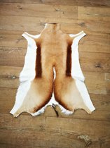 Springbok vacht - Decoratief - Zacht - springbok huid- Natuurproduct