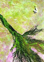 Earth Art - Satellietfoto Okanvango delta Botswana - Poster 50x70 cm