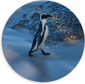 Dibond Wandcirkel - Pinguïn in de Sneeuw   - 80x80cm Foto op Aluminium Wandcirkel (met ophangsysteem)