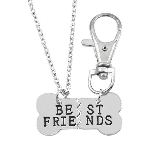 Kasey Vriendschapsketting - BFF ketting voor jou en je hond - Botje -  Zilver | bol