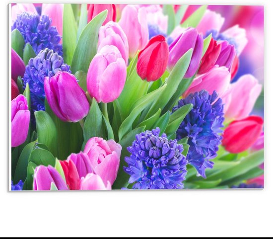 Forex - Lavendel tussen Tulpen - 40x30cm Foto op Forex