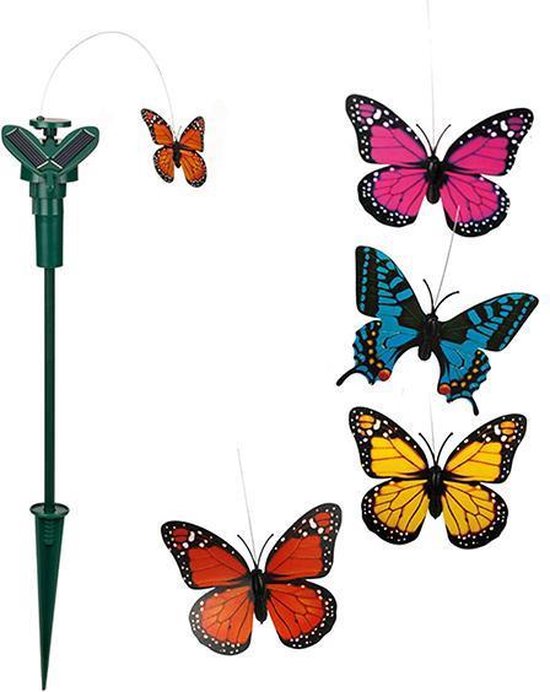 Vlinder Zon Fluttering van Vlinder Zon — afbeelding 2