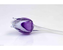 Paars witte tulp - Tulp van glas 50 cm – bloem van glas – glaskunst – beeld van glas geschenk- cadeau
