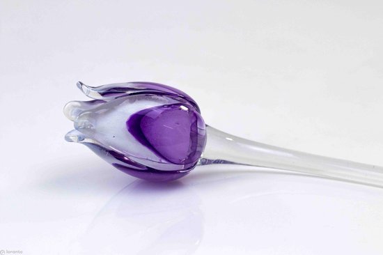 Paars witte tulp - Tulp van glas 50 cm – bloem van glas – glaskunst – beeld van glas geschenk- cadeau