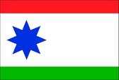 Vlag gemeente Achtkarspelen 150x225 cm