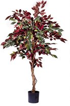 Kunstplant Ficus groen/rood 150 cm