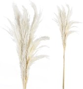 Fluffy grass dried 100 cm