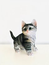 Katje - kat - poes - kitten in polyester - polystone - zwart - blond - grijs - hoogkwalitatieve kunststof - tuinbeeld - decoratie figuur -  decoratie voor binnen en buiten - cadeau - geschenk - relatiegeschenk - cadeautje