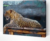 Arty Bee® Peinture par nombre d' Adultes - Peinture par numéro - Paquet de Hobby sur cadre avec vernis - Chilling Jaguar 50x40cm