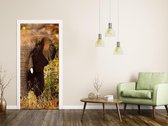 Luxe Deursticker Olifant - bruin - Sticky Decoration - deurposter - decoratie - woonaccesoires - op maat voor jouw deur