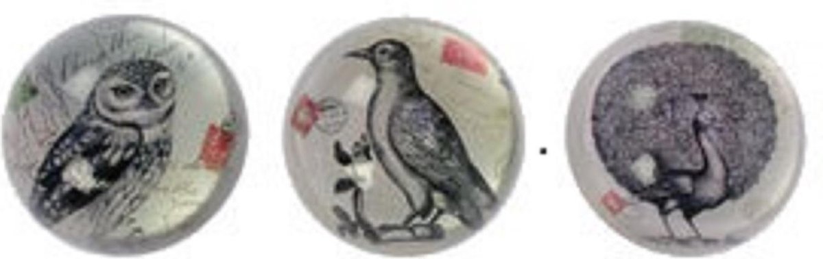 Presse papier Vogels zwart-wit, 3 ass. Ø7,5xH3cm