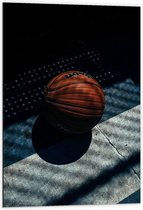 Dibond - Basketbal met Schaduwen  - 60x90cm Foto op Aluminium (Met Ophangsysteem)