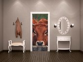 Luxe Deursticker Koe met hoorns - bruin - Sticky Decoration - deurposter - decoratie - woonaccesoires - op maat voor jouw deur