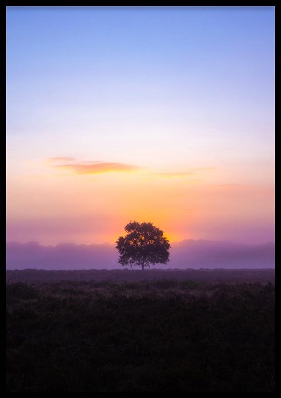 Poster Purple Tree - 30x40 cm Met Fotolijst - Natuur Poster - WALLLL