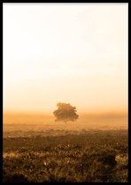 Poster Morning Tree - 50x70 cm - Natuur Poster - WALLLL