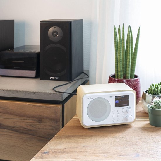 Witte retro radio met houten zijkanten, op een houten tafel naast planten.