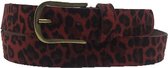 Rode riem - Leopard V45 Red  Dames riem - Broekriem Dames - Dames riem -  Dames riemen - heren riem - heren riemen - riem - riemen - Designer riem - luxe