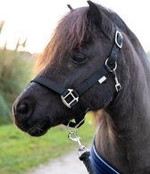 G-Horse | Halsterset met touw | Shetland | Zwart