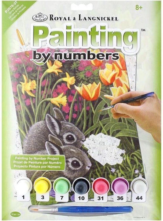 Alpino Color Experience Paint By Numbers | Schilderen Op Nummer Voor Volwassenen En Kinderen Complete Set Voor Het Schilderen Op Stippen Schilderen Op Nummer Met Afbeelding Penseel En Kleuren