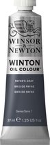 W&N Winton olieverf 37ml Paynes Grey