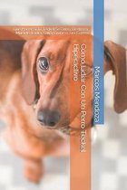Como Lidiar Con Un Perro Teckel Hiperactivo