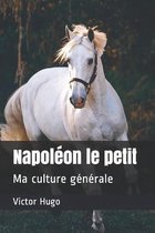 Napoleon le petit