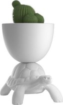 Qeeboo Schildpad planten pot / Cooler-6 Wit