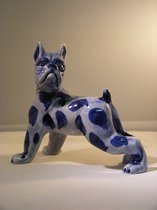 Hond