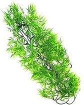 zoomed - naturalistic flora - madagascar bamboo - medium - terrariumplant