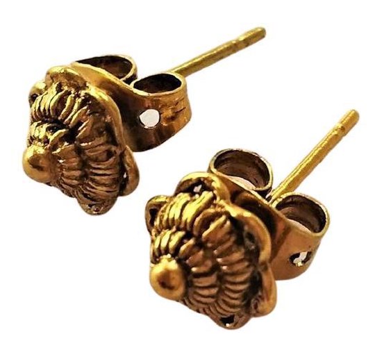 Boucles d'oreilles petites boutons de Zélande plaqué or, ZKO716-G