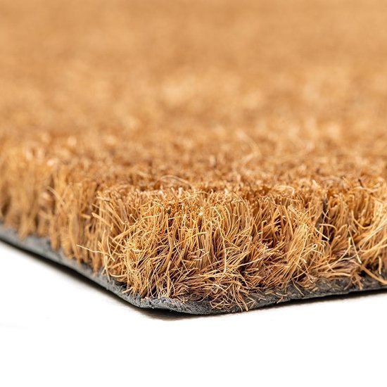 Paillasson-tapis de noix de coco-tapis d'entrée naturel 40x60cm