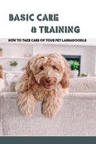 Basic Care & Training- How To Take Care Of Your Pet Labradoodle