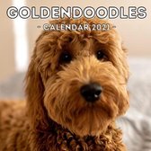 Goldendoodles