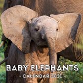Baby Elephants