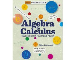 Omslag van Algebra to Calculus: Unlocking Math's Amazing Power