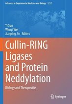 Cullin RING Ligases and Protein Neddylation