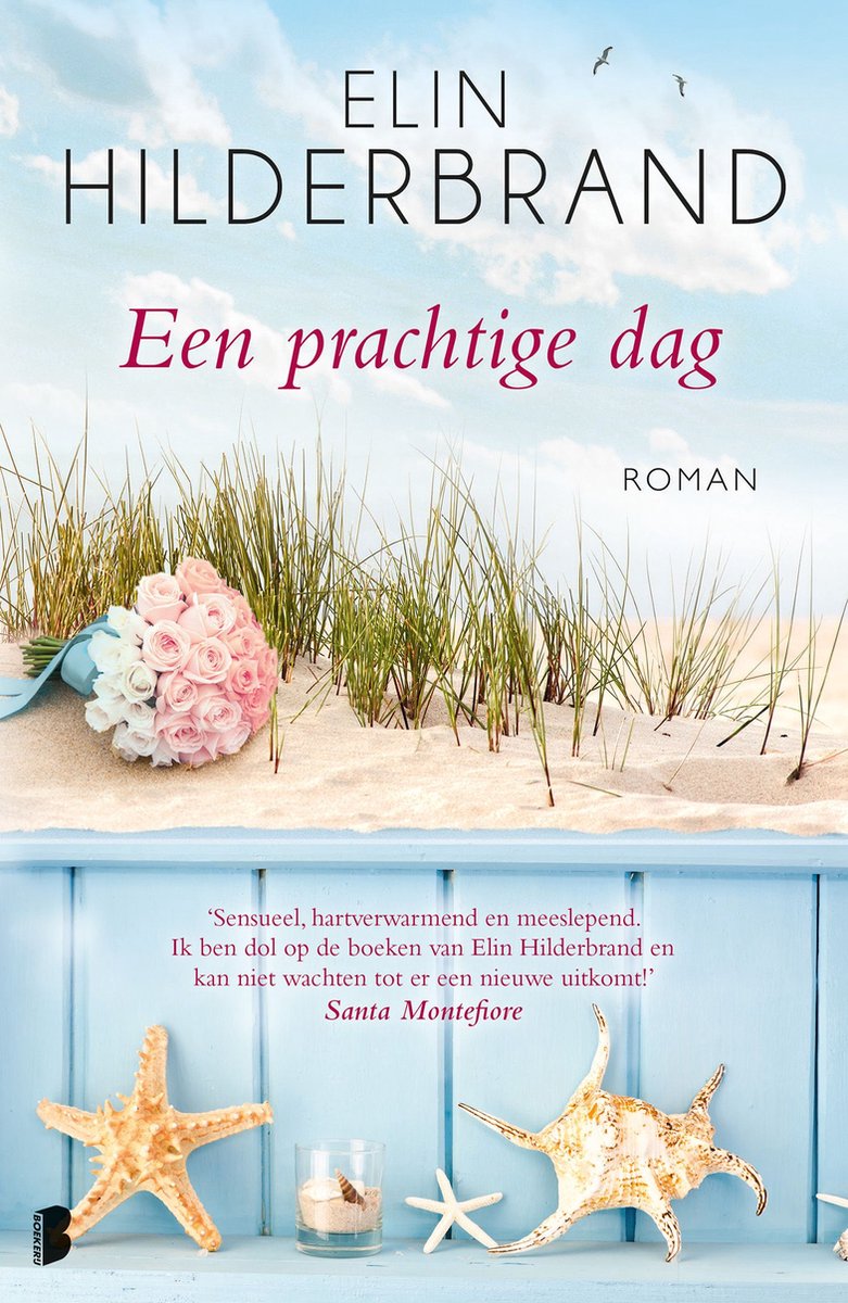 Omslag van Een prachtige dag