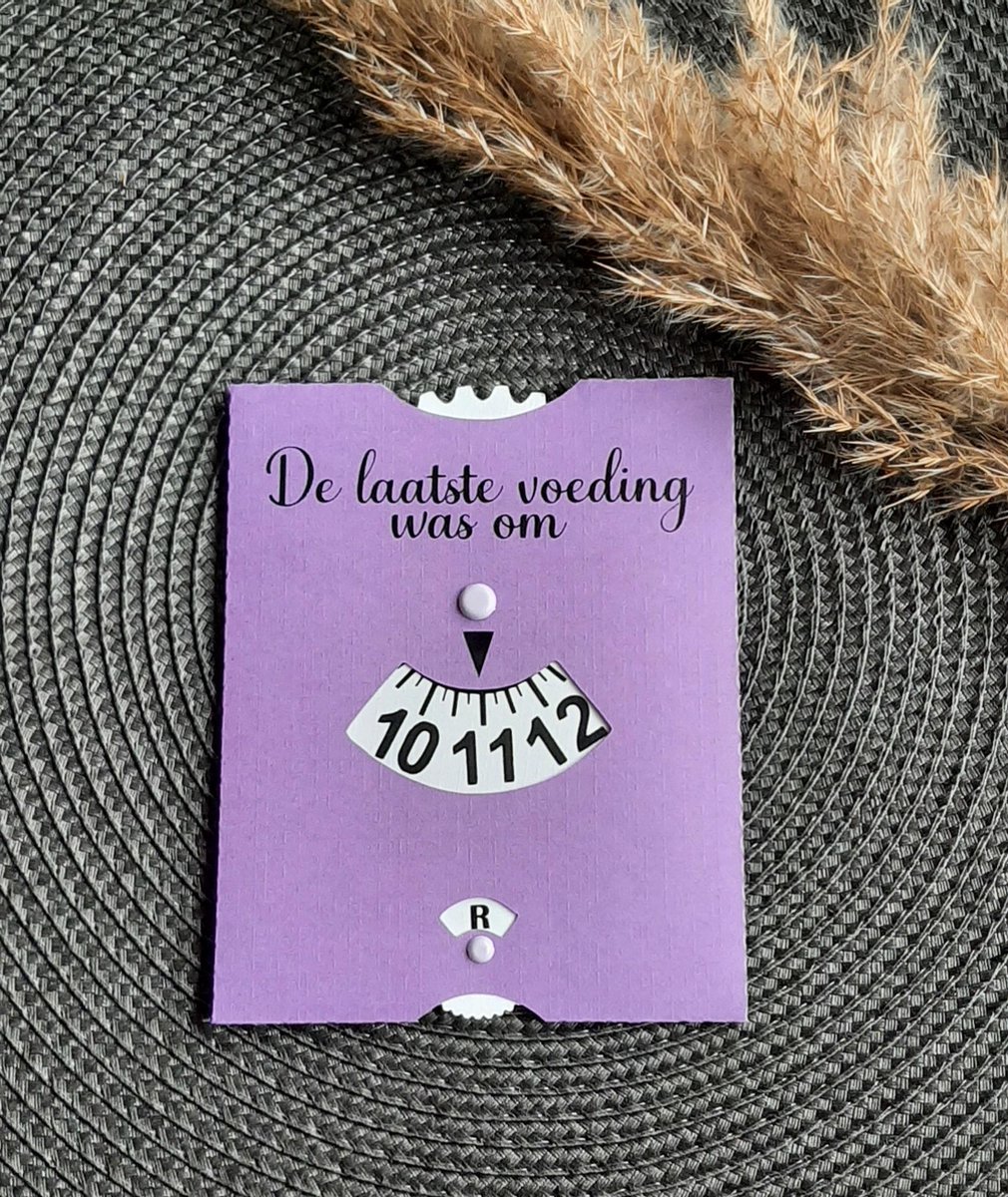 Goedkoopste Mint11 - Voedingskaart paars - Babyvoeding accessoires - babyshowergift - kraamcadeau - kraamkado - baby benodigdheden - voedingsschijf - parkeerschijf