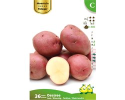 36 x plant aardappel DESIREE - solanum tuberosum - plantaardappel - pootaardappel