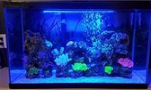 Aquarium terrarium led verlichting. blauw led licht.  lengte 18 cm met 9 led's die een blauwe kleur geven.