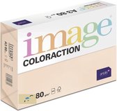 Image Coloraction