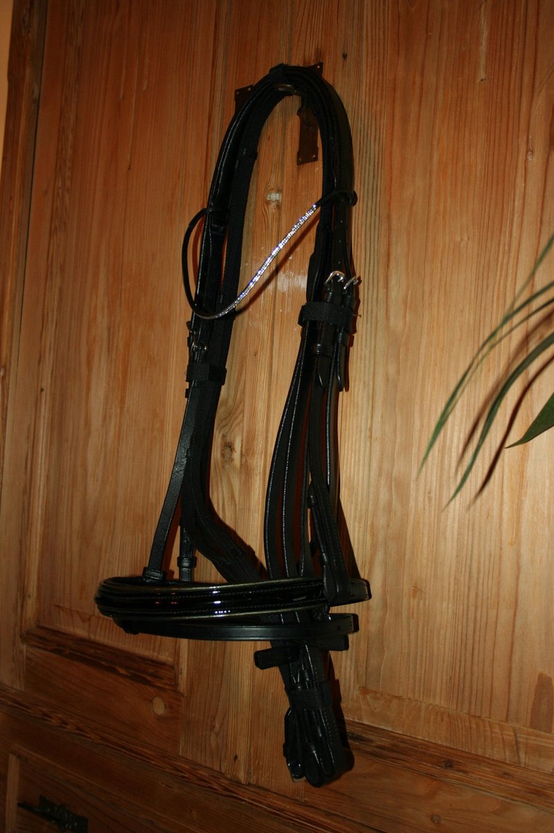 Hoofdstel Cheval zwart X-Full