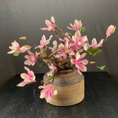 Seta Fiori - Magnolia - compleet in PTMD vaas - Zijden Bloemen Kunstboeket - Kunstbloemen - Boeket voor Binnen - 30cm - glazen vaas