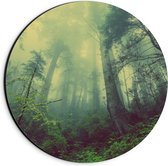 Dibond Wandcirkel - Bossen met Mist - 20x20cm Foto op Aluminium Wandcirkel (met ophangsysteem)