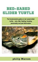 Red-Eared Slider Turtle