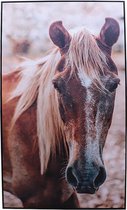 WOONENZO - Schilderij paard - dierenkop - schilderij paard