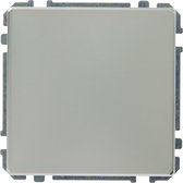 Schneider Electric Artec afdekplaat edelstaal
