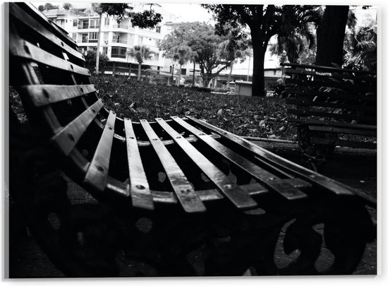 Acrylglas - Bankjes in het Park (Zwart Wit) - 40x30cm Foto op Acrylglas (Met Ophangsysteem)