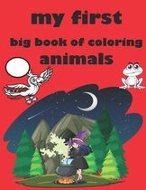 my first big book of coloring animals