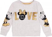Disney Minnie Mouse sweater - grijs/goud - maat 92/98 (3 jaar)
